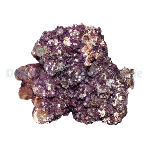 shop.dejongmarinelife.nl