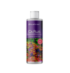 CA Plus NEW