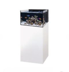 Aquarium Yasha 100 Lagoon
