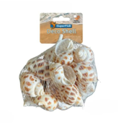 SF Decoration shell spiral striped - 200 g