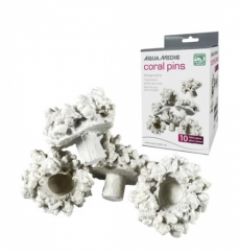 Coral Pins (10 pcs.)