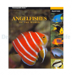 Angelfishes Of The World