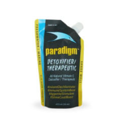 Paradigm Detoxifier