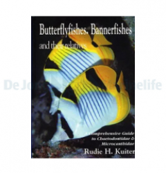 Butterflyfishes guide