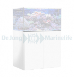 Cabinet white Armatus 375 XD