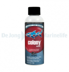 Colony Nitrify Bacteria Marine