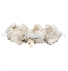 coral pins (100 pcs.)