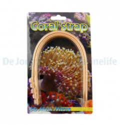 Coral Strap