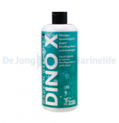 DINO X Strong Solution