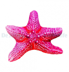 Starfish Pillow Medium