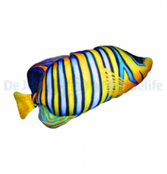 Regal Angelfish Pillow Mini