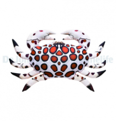 Calico Crab Pillow
