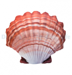 Scallop Pillow Orange Medium