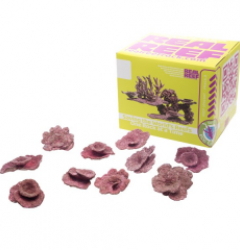 Real Reef Mini Plate Corals