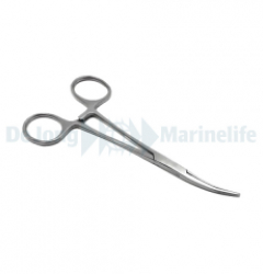 Forceps Angled 10in / 25,4cm