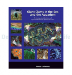 Giant Clams in the Sea and the Aquarium