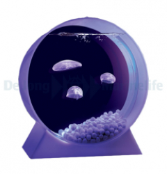 Jelly fish aquarium colour