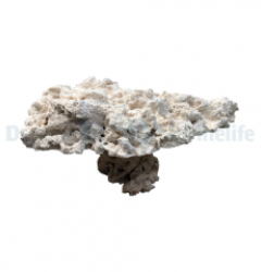 Marcorock - Pedestal rock (natural top)