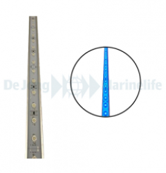 MarineLINE LED - Blue - 1 W - 76 cm