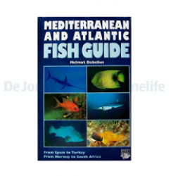 Mediterranean + Atlantic fish guide