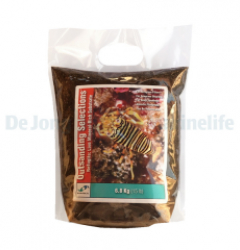 OutSanding Selections Refugite