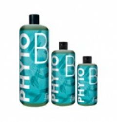 Phyto B