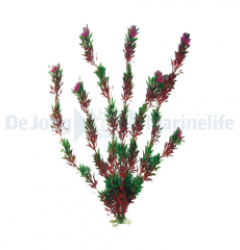 Plastic Plant Flora Bi-color 50cm