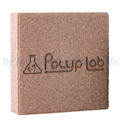 POLYPLAB Genesis Rock 1 pc