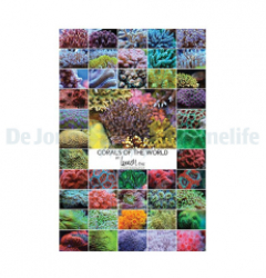 Poster Lemon Tyk - Corals