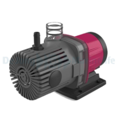 Pump DC Runner 800 EVO 501