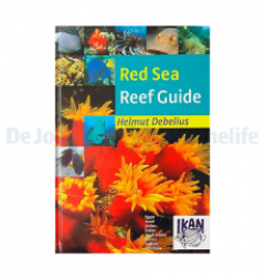 Red Sea reef guide