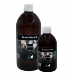 Reef Zlements Blizzard