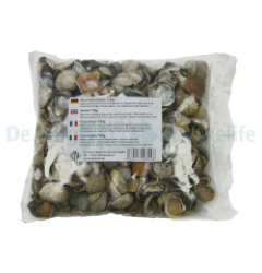 Hiding Shells