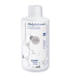 Components Molybdenum - 250ml Bottle