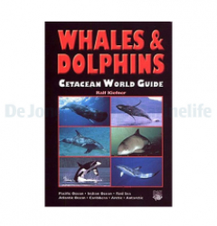 Whales and Dolphins world guide