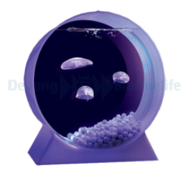 Jelly fish aquarium colour